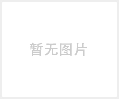 210*140mm打印联单无碳送货单